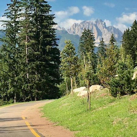 Garni Villa Elsa Поцца-ди-Фасса Экстерьер фото